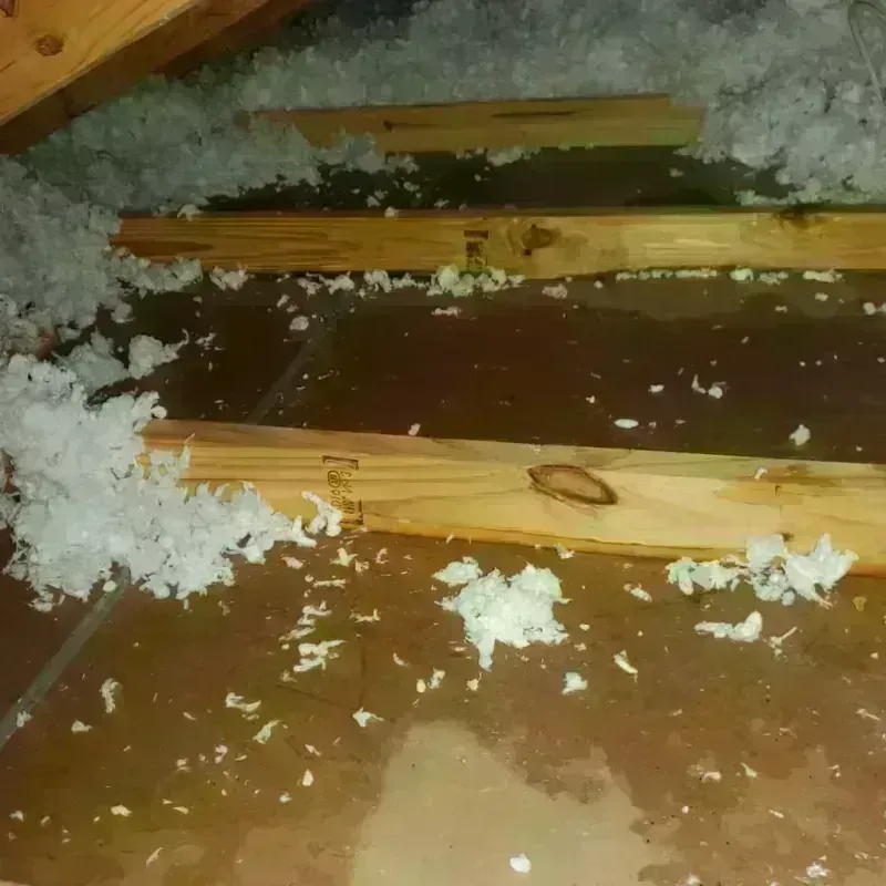 Attic Water Damage in Jonesboro, IN